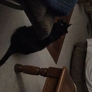 Meet your Posher, Nancy